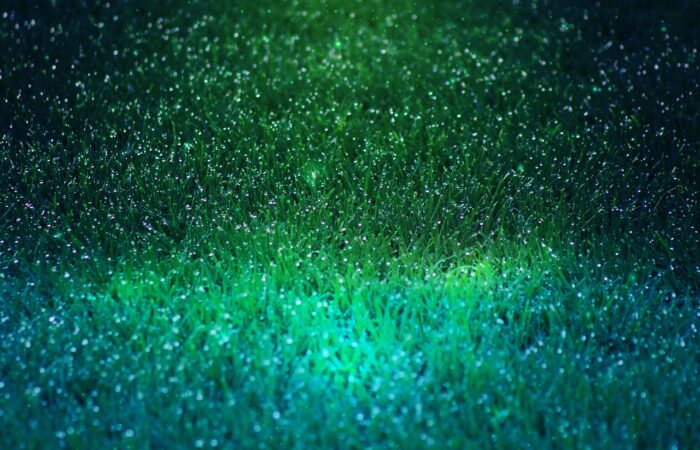 Adoptez_la_cuve_en_béton_pour_une_récupération_optimale_de_votre_eau_de_pluie