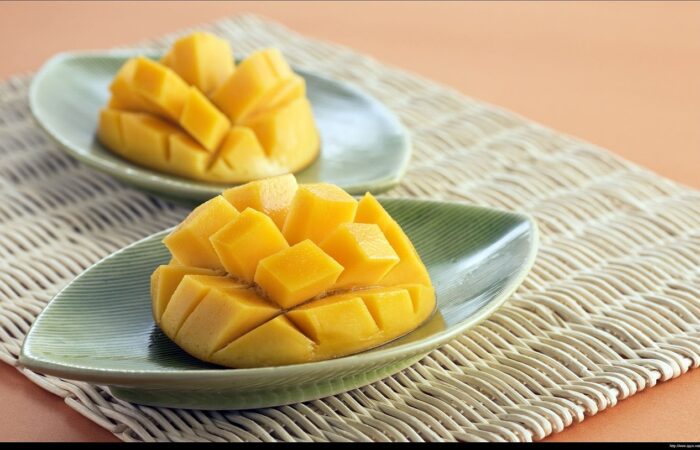 Boostez_votre_décoration_intérieure_:_la_germination_pas_à_pas_d_un_noyau_de_mangue