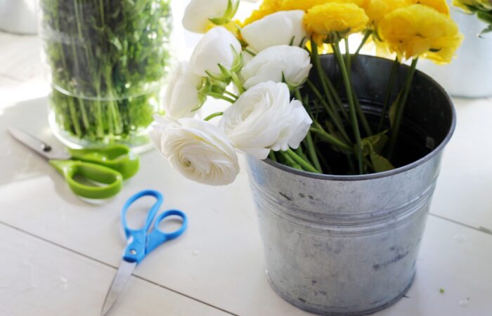 Bricolage_de_jardin_:_comment_poser_une_bordure_en_plastique_?